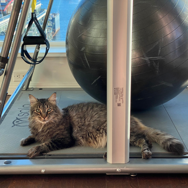 customer with kat on SoloStrength freestanding gym