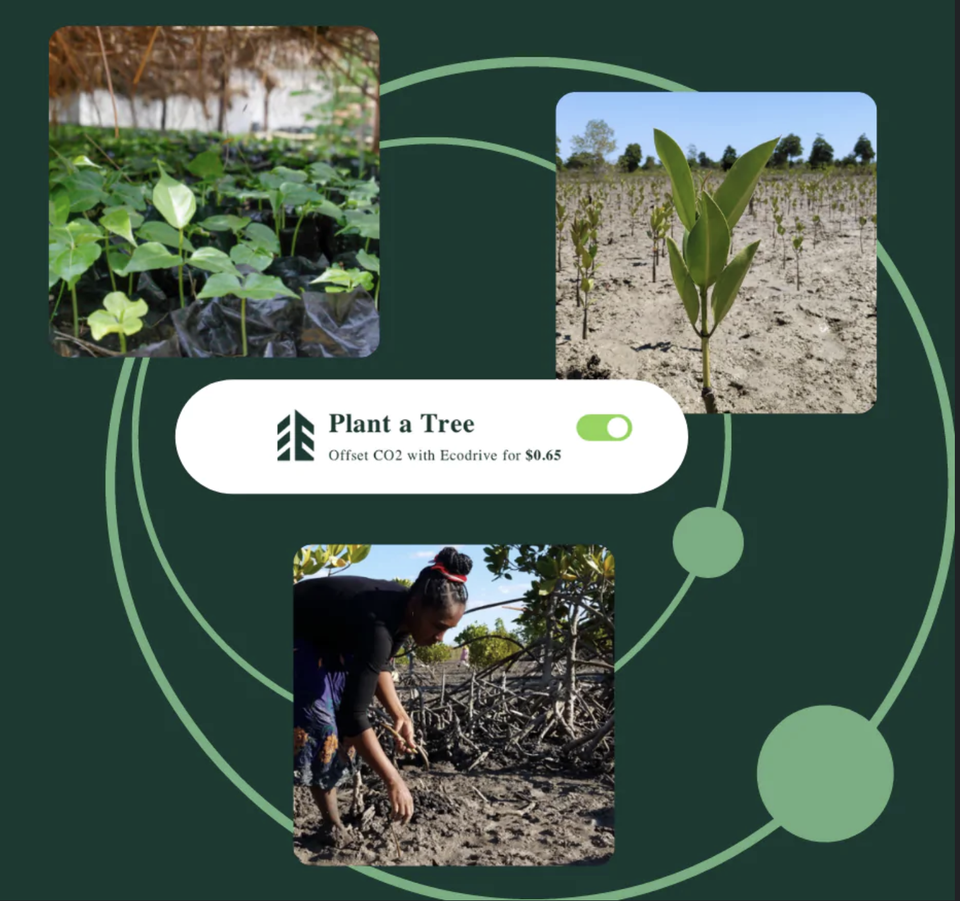 safe exercise at home beginner strength workouts with bodyweight and adjustable pull up bar