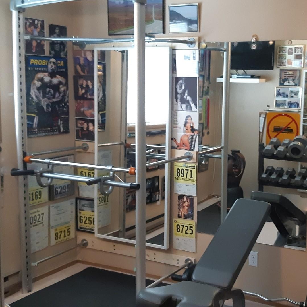 wall gym fixed adjustable height exercise bar with dip station customer product reviews solostrength home gym equipment training systems for bodyweight exercise